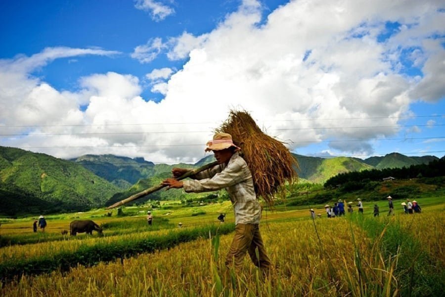 Hanoi Mai Chau Pu Luong E-bike Tour 3 Days